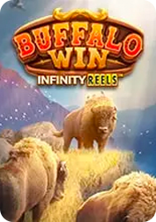 Buffalo Win BNG55